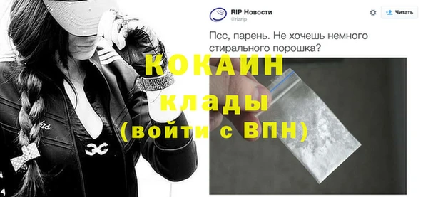 крисы Пересвет