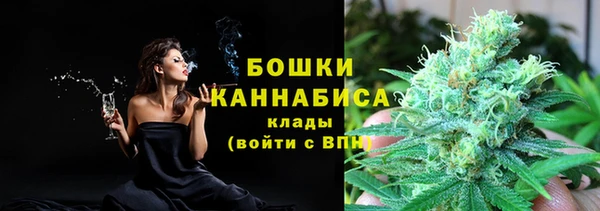 крисы Пересвет