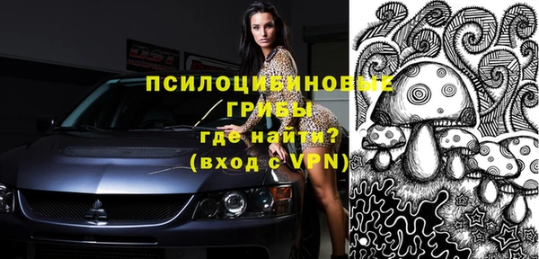 бошки Переславль-Залесский