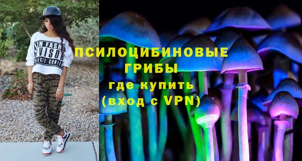 СК Пестово